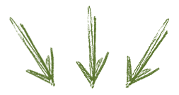 green-handwritten-arrows